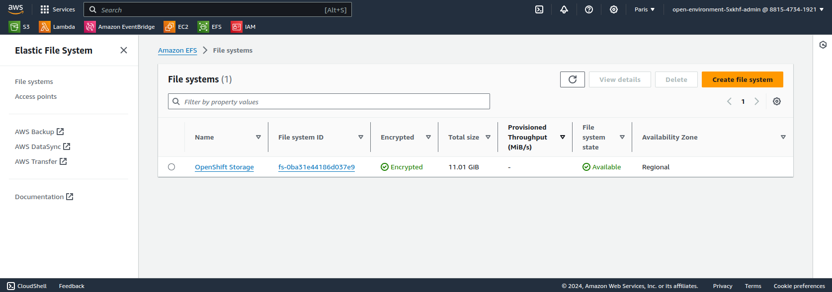 AWS console showing an EFS volume.